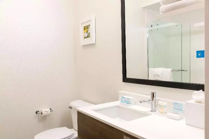 キングサイドベッドのスタンダードワンルーム, Hampton Inn & Suites East Lansing/okemos