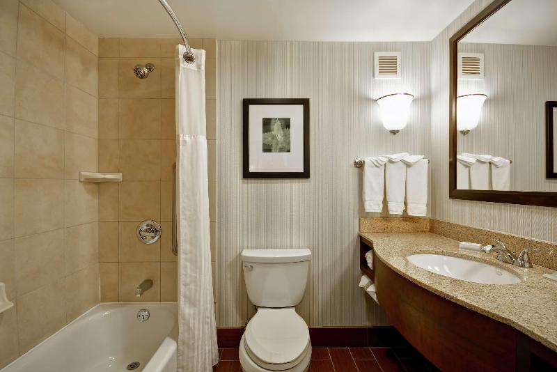 Номер Стандарт Адаптированный для Инвалидов, Hampton Inn & Suites East Lansing/okemos