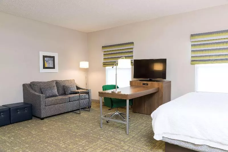 キングサイズベッドのスイートルーム, Hampton Inn & Suites East Lansing/okemos