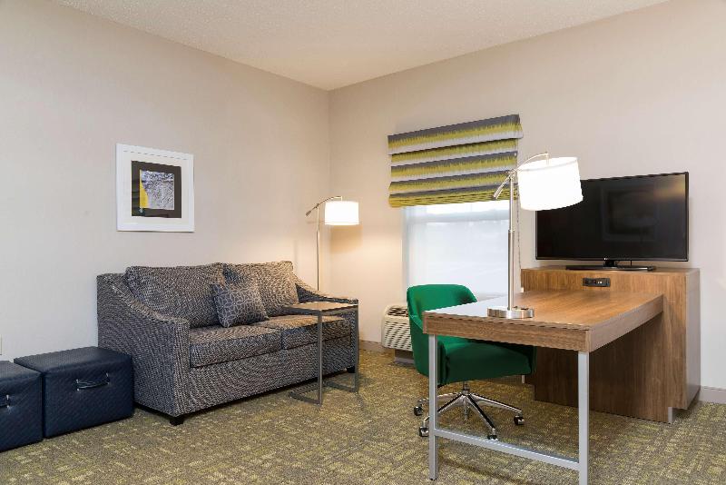 جناح سرير كينج, Hampton Inn & Suites East Lansing/okemos