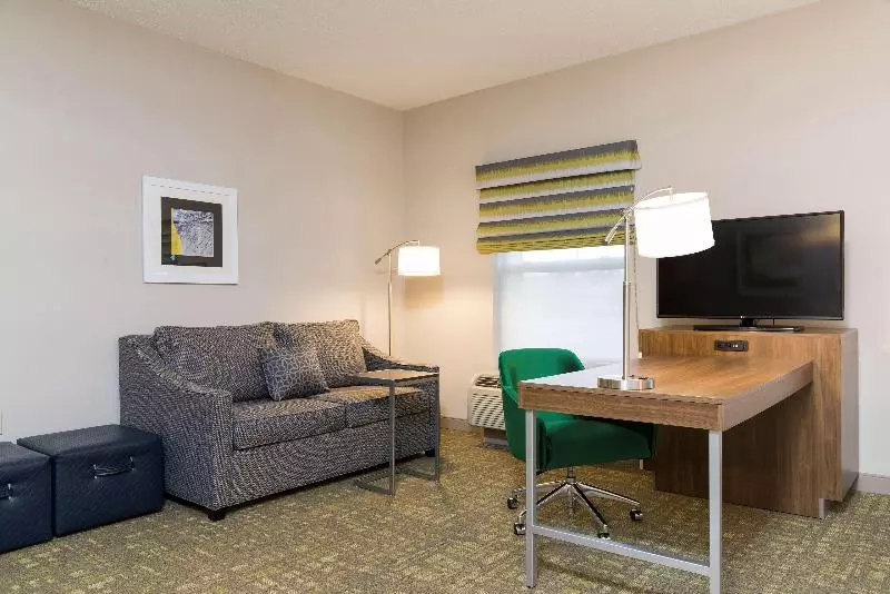 キングサイズベッドのスイートルーム, Hampton Inn & Suites East Lansing/okemos