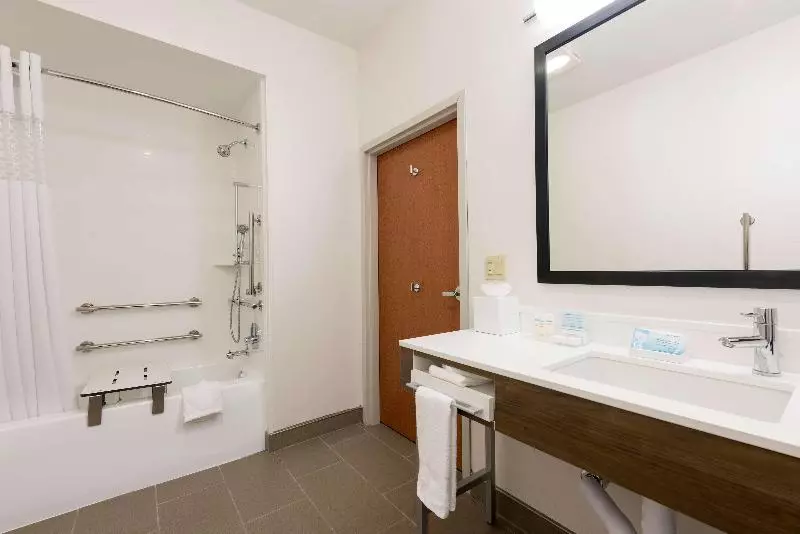 キングサイズベッドのスタンダードルーム, Hampton Inn & Suites East Lansing/okemos