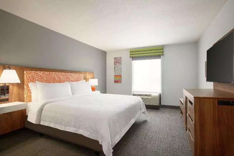 キングサイズベッドのスイートルーム, Hampton Inn & Suites Houstoncypress Station