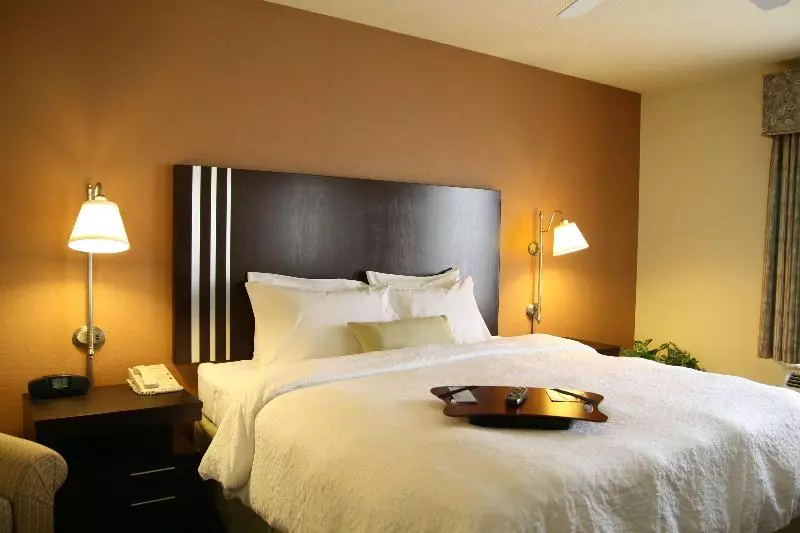 キングサイズベッドのスイートルーム, Hampton Inn & Suites Houstoncypress Station