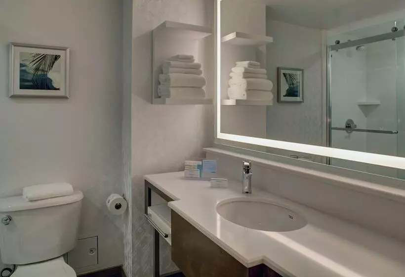 スイート, Hampton Inn & Suites Miamiairport Southblue Lagoon