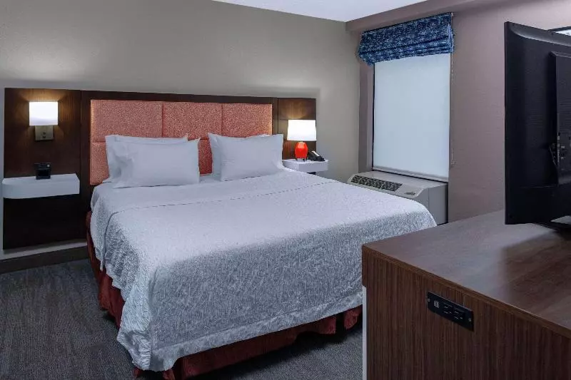 キングサイズベッドのスイートルーム, Hampton Inn Woodbridge