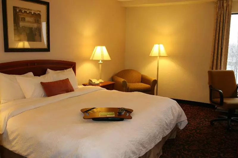 キングサイズベッドのスイートルーム, Hampton Inn Woodbridge