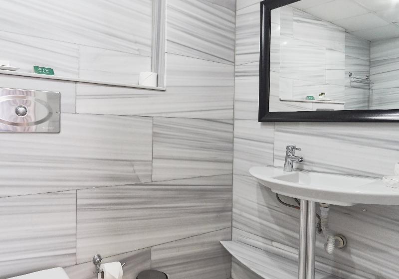 Camera Standard Pat King Adaptată pentru Discapacitaţi, Hampton Inn Terre Haute