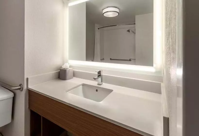 身障者適用キングサイズベッドルーム, Holiday Inn Express   New Albany