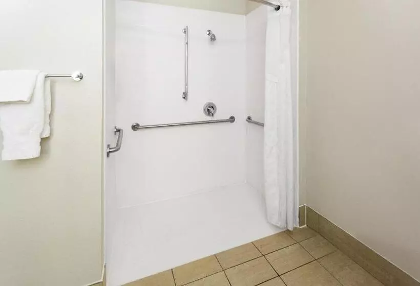 身障者適用キングサイズベッドルーム, Holiday Inn Express   New Albany