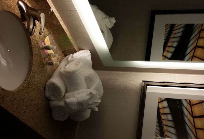 غرفة قياسية, Holiday Inn Greenville, An Ihg