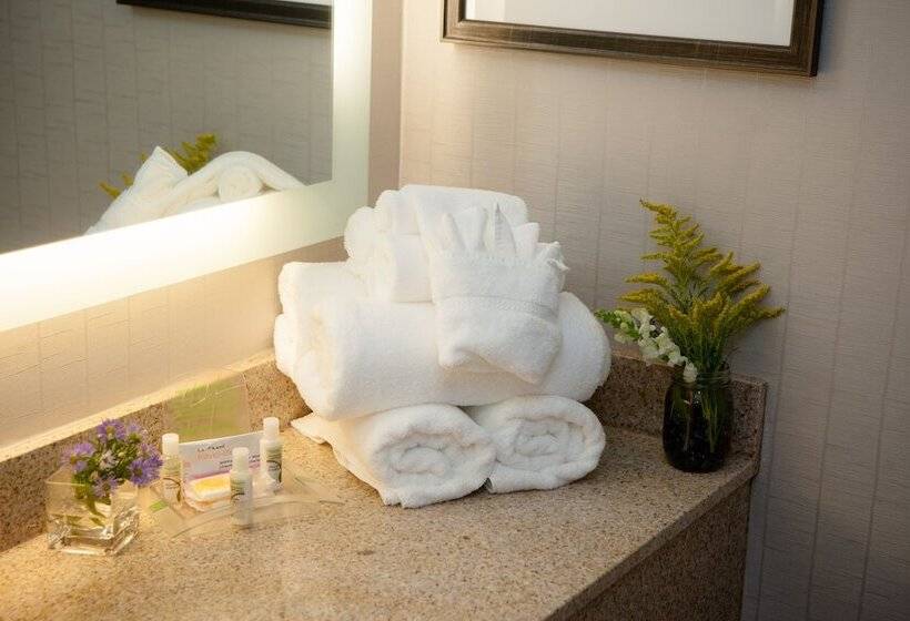 جناح, Holiday Inn Greenville, An Ihg