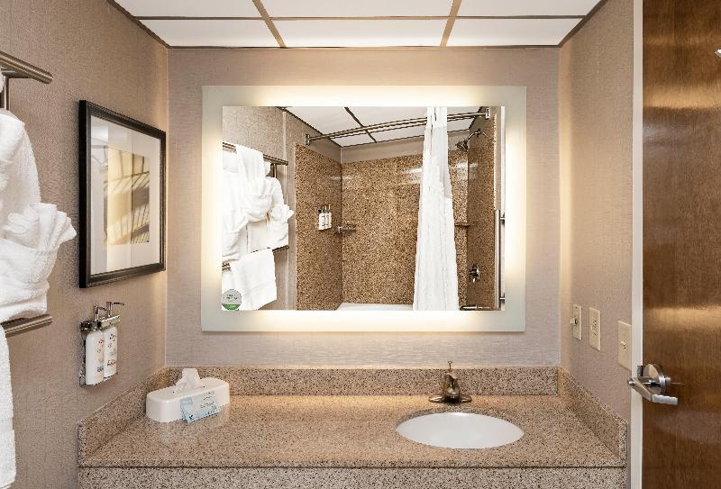 غرفة قياسية سرير كينج, Holiday Inn Greenville, An Ihg