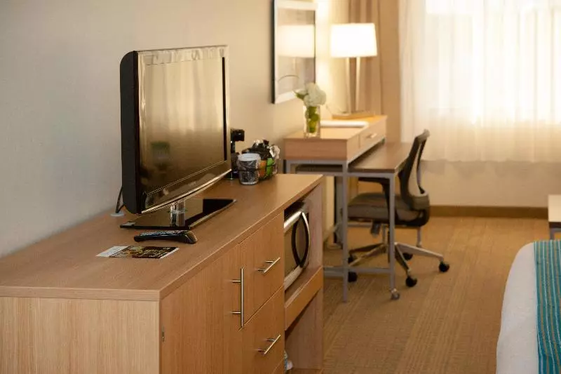 اتاق استاندارد با تخت بزرگ, Holiday Inn Greenville, An Ihg