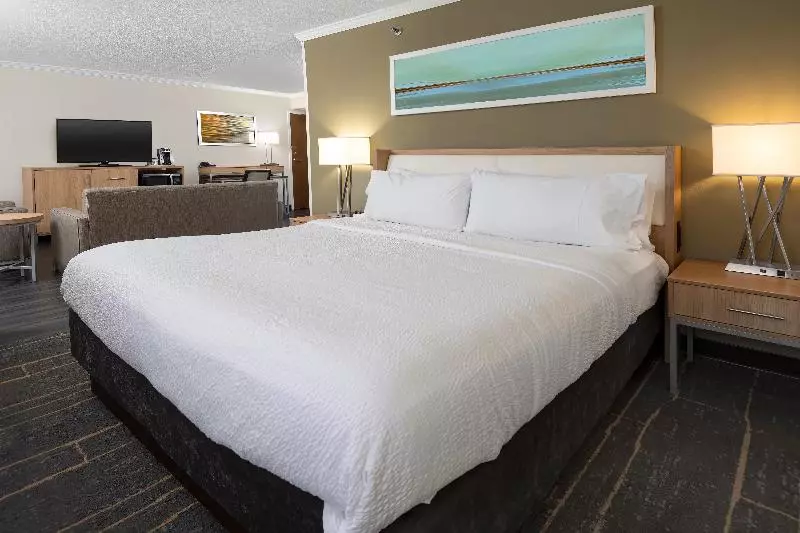اتاق استاندارد با تخت بزرگ, Holiday Inn Greenville, An Ihg