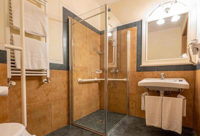 חדר סטנדרט מותאם לאדם עם מוגבלויות, Iseo Lago