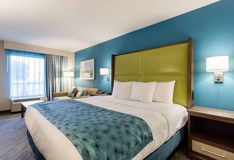 Номер Стандарт Адаптированный для Инвалидов, Quality Inn Gulfport I10