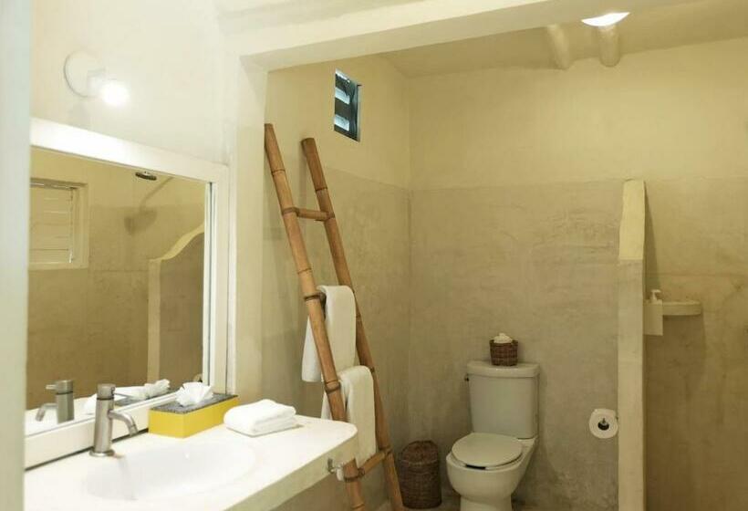 اتاق استاندارد با تخت بزرگ, Coco Unlimited