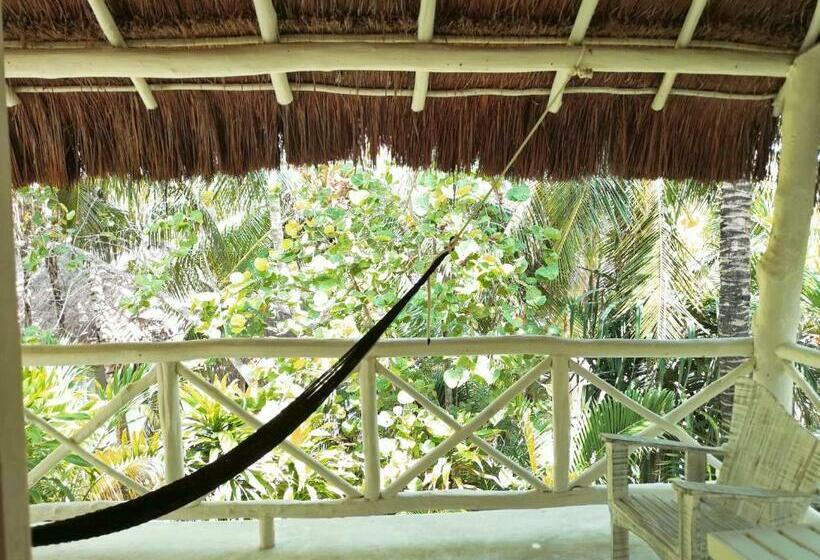 اتاق استاندارد با تخت بزرگ, Coco Unlimited