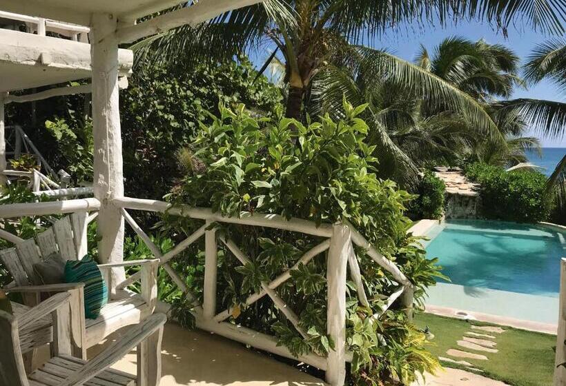 اتاق استاندارد با تخت بزرگ, Coco Unlimited