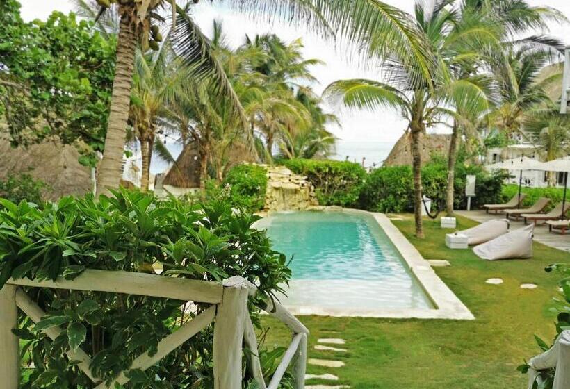 اتاق استاندارد با تخت بزرگ, Coco Unlimited