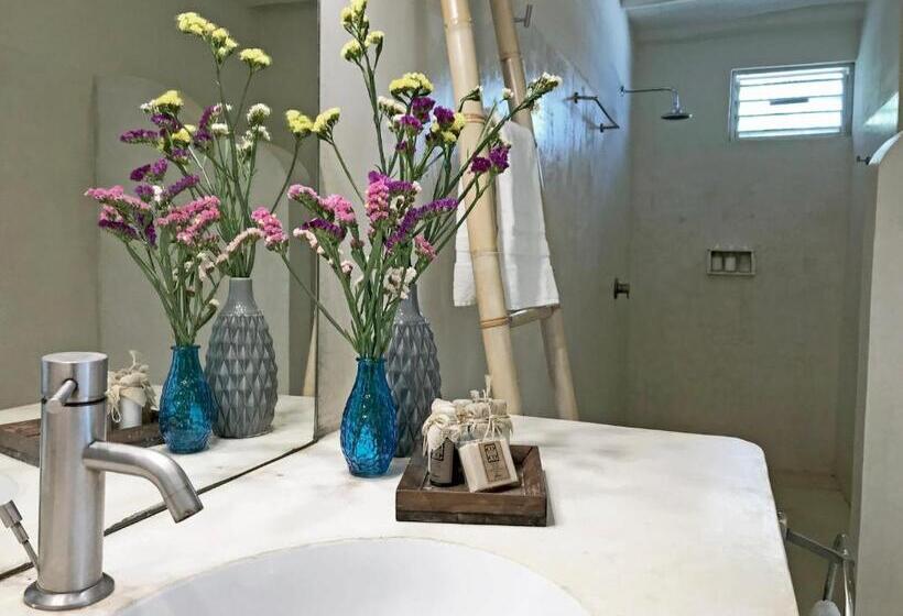 اتاق استاندارد چهار تخته با چشمانداز دریا, Coco Unlimited