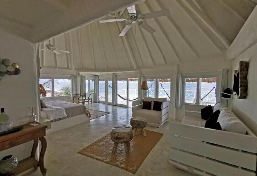 سوئیت با تخت بزرگ, Coco Unlimited