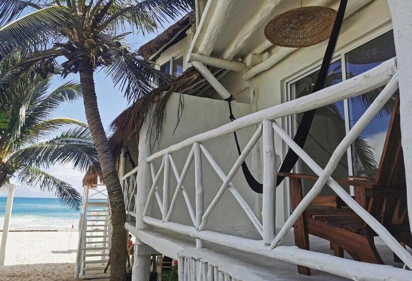 اتاق استاندارد با تخت بزرگ, Coco Unlimited