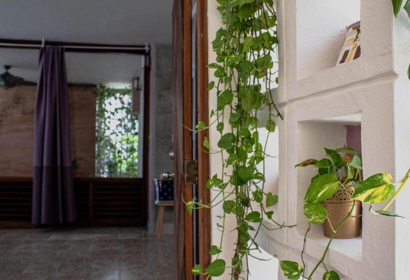 اتاق استاندارد با تخت بزرگ, The Emerald Pr