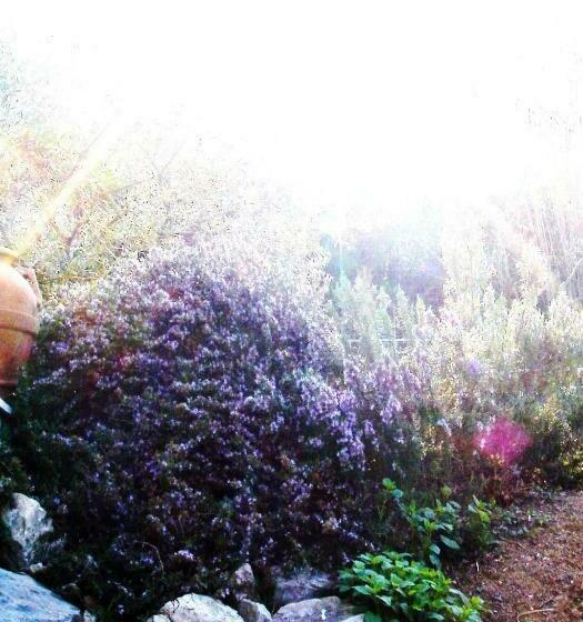 标准房带园景, Di Luna E Di Sole