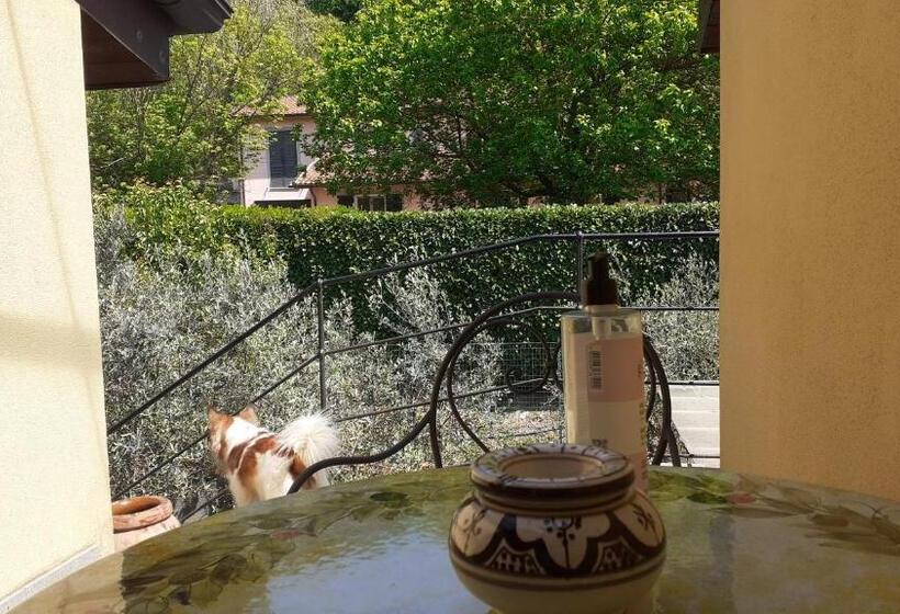 标准房带园景, Di Luna E Di Sole