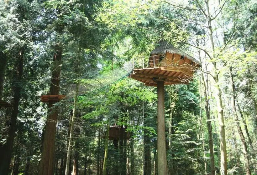 1ベッドルームハウス, Insolite Dans Les Arbres Les Ormes, Epiniac