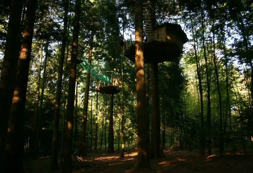 1ベッドルームハウス, Insolite Dans Les Arbres Les Ormes, Epiniac