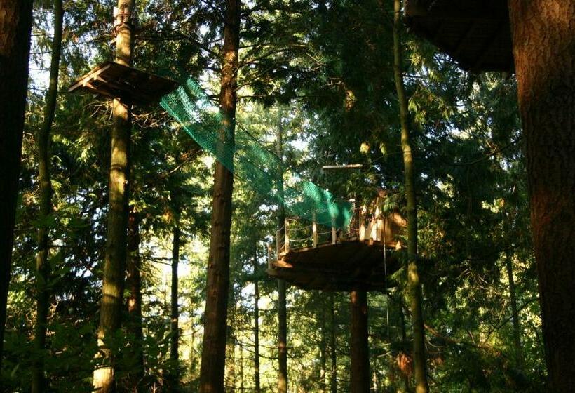 בית, חדר שינה 1, Insolite Dans Les Arbres Les Ormes, Epiniac