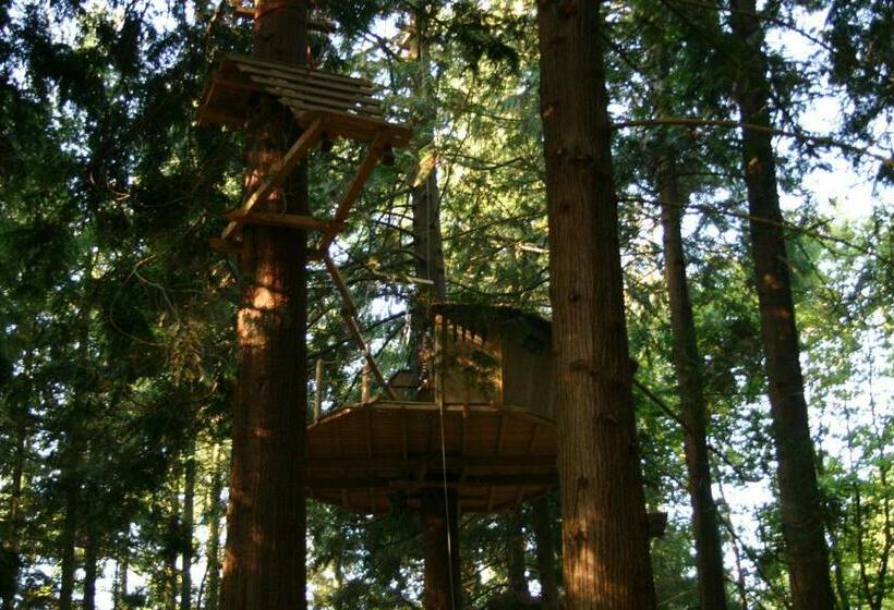 בית, חדר שינה 1, Insolite Dans Les Arbres Les Ormes, Epiniac