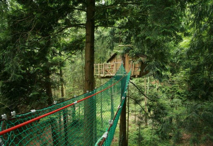 Дом 1 Спальня, Insolite Dans Les Arbres Les Ormes, Epiniac
