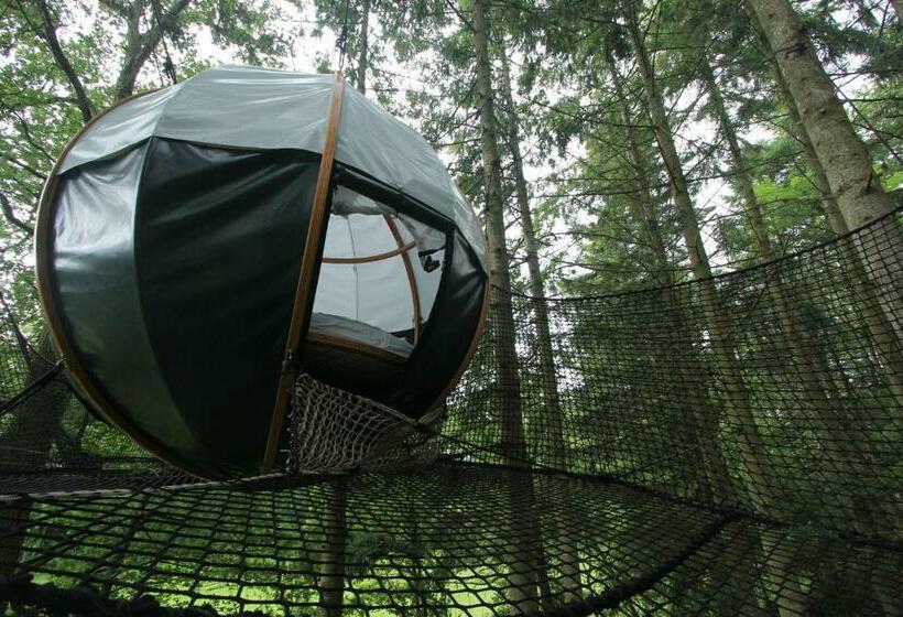 חדר סטנדרט, Insolite Dans Les Arbres Les Ormes, Epiniac