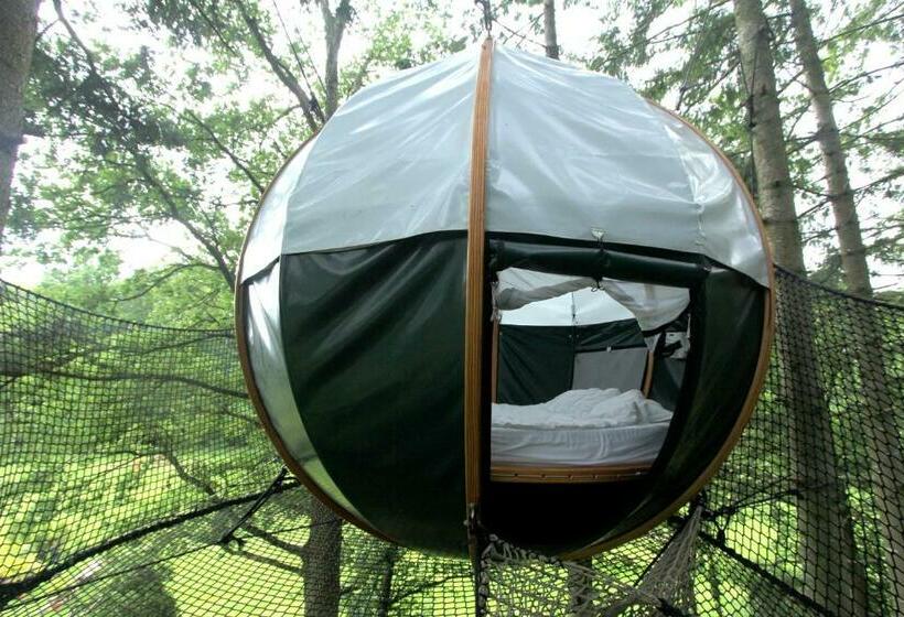 חדר סטנדרט, Insolite Dans Les Arbres Les Ormes, Epiniac