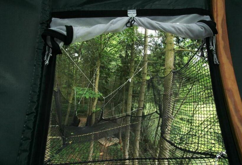 חדר סטנדרט, Insolite Dans Les Arbres Les Ormes, Epiniac