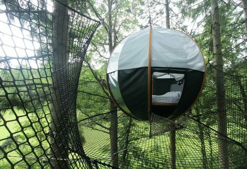スタンダードルーム, Insolite Dans Les Arbres Les Ormes, Epiniac