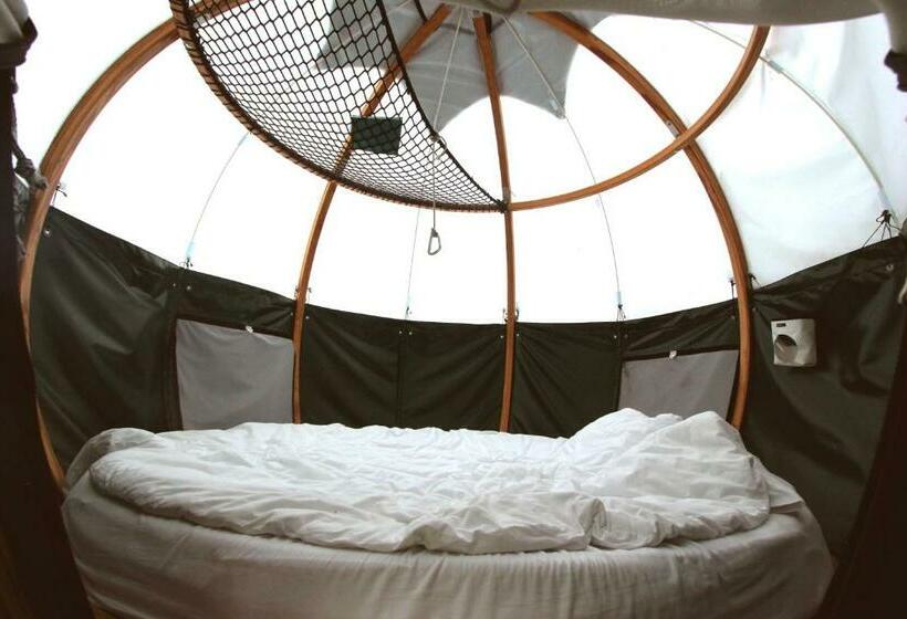 חדר סטנדרט, Insolite Dans Les Arbres Les Ormes, Epiniac