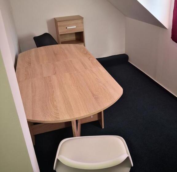 Standard-huone, Thomas Panzió