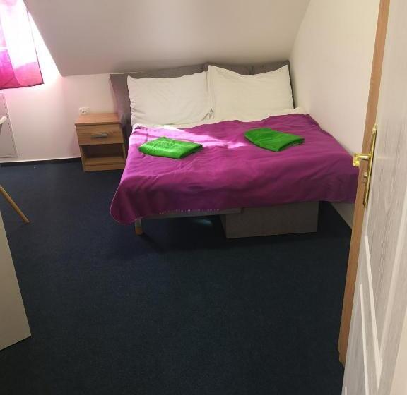 Standard-huone, Thomas Panzió