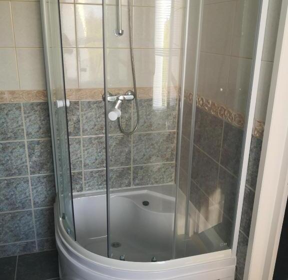 Standard-huone, Thomas Panzió