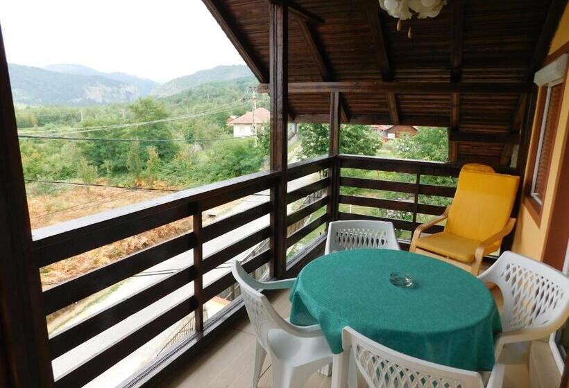 Номер Стандарт Вид на Горы, Pensiunea Casa Domnitei