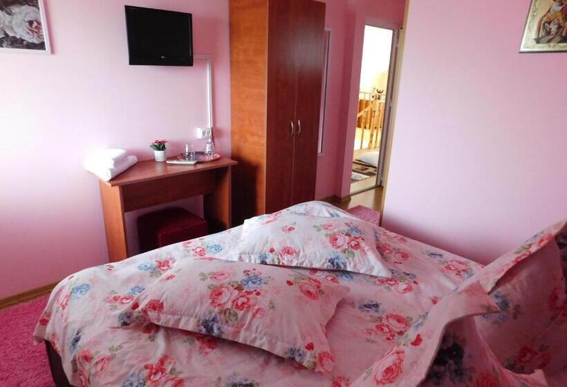 Номер Стандарт Вид на Горы, Pensiunea Casa Domnitei