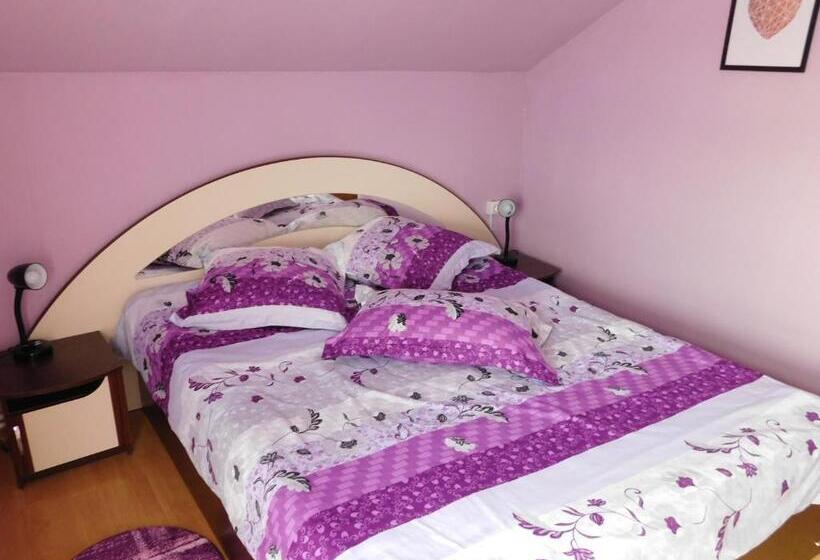 Номер Стандарт, Pensiunea Casa Domnitei