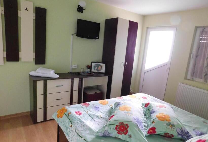 Номер Стандарт Вид на Горы, Pensiunea Casa Domnitei