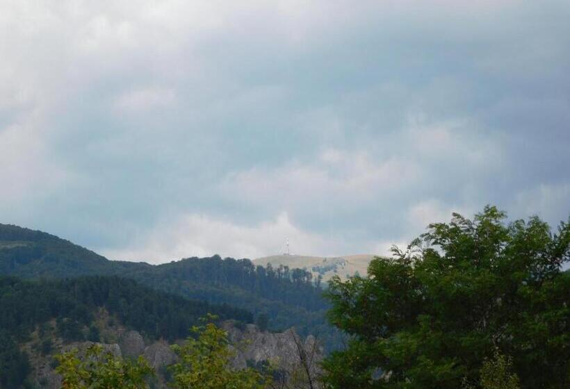 Номер Стандарт Вид на Горы, Pensiunea Casa Domnitei