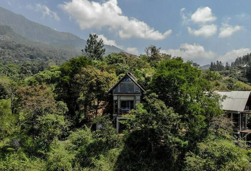 一居室别墅, Treehouse Chalets